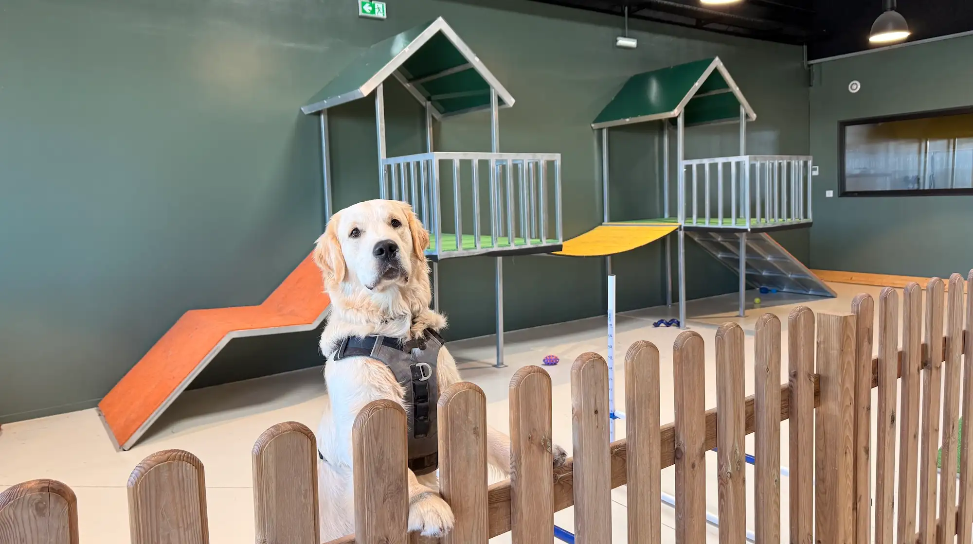 Espace de jeu canin Puppy Corner à Jouy-aux-Arches près de Metz